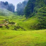 केन्या में सड़क हादसा: बस से भिड़ी ट्रक, 22 की मौत